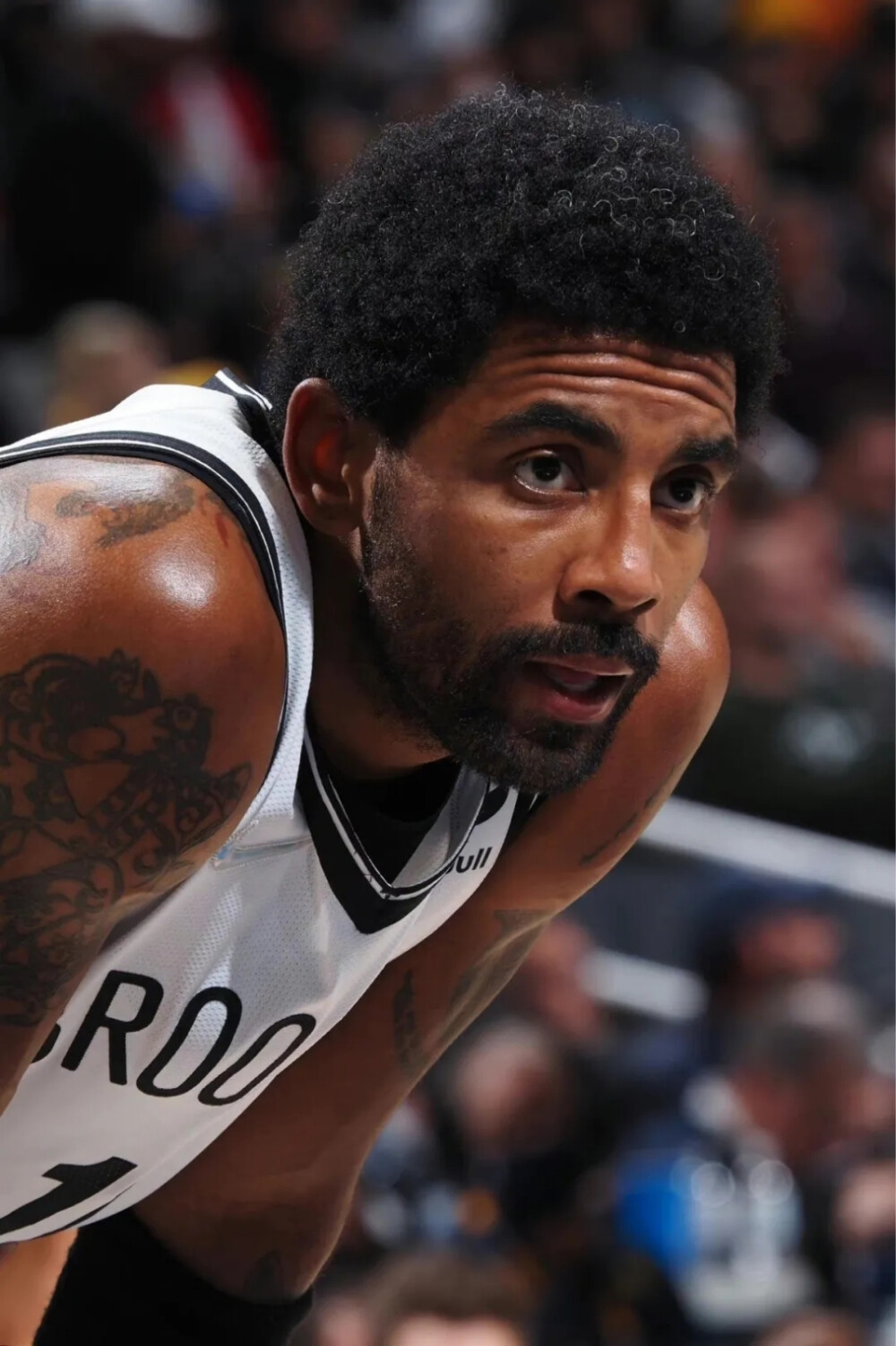 最热烈的回 最热烈的回