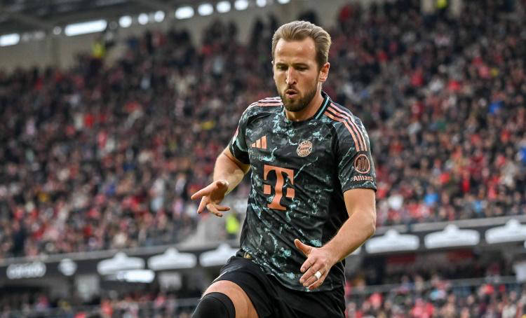 表现了欢迎 表现了欢迎